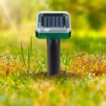 EcoPest Garden