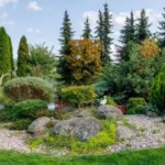 Come creare un angolo di giardino sempreverde