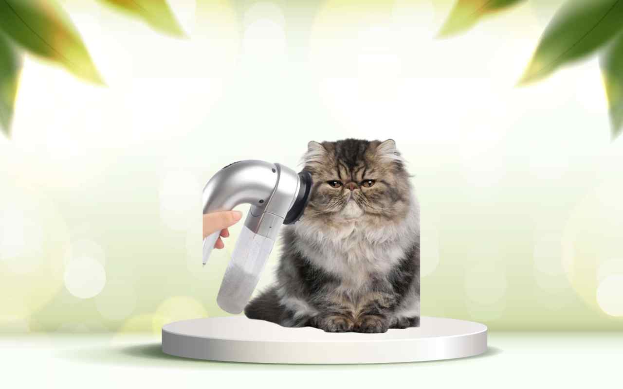 Elimina i peli degli animali da casa: prova subito SpazzolAmica efficace e delicata