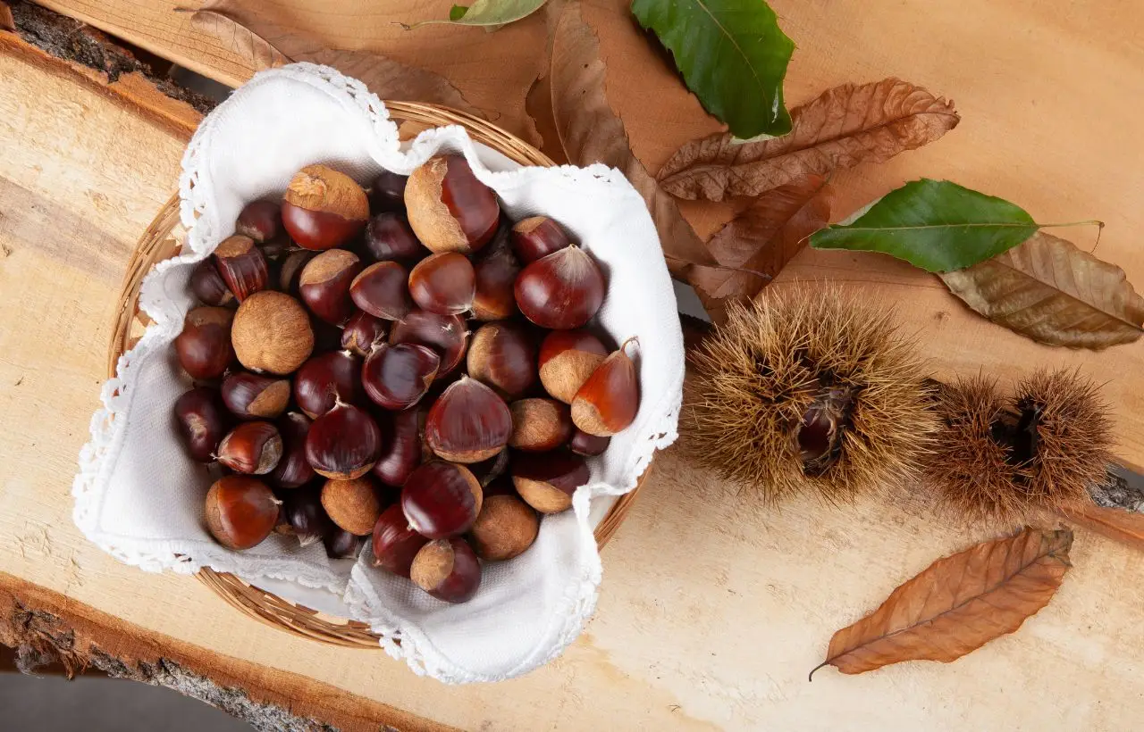 Castagne e glicemia: come inserirle senza eccessi